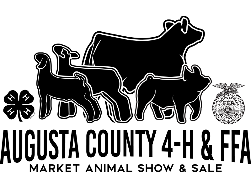 Results 2024 Augusta County 4H/FFA Market Animal Show and Sale