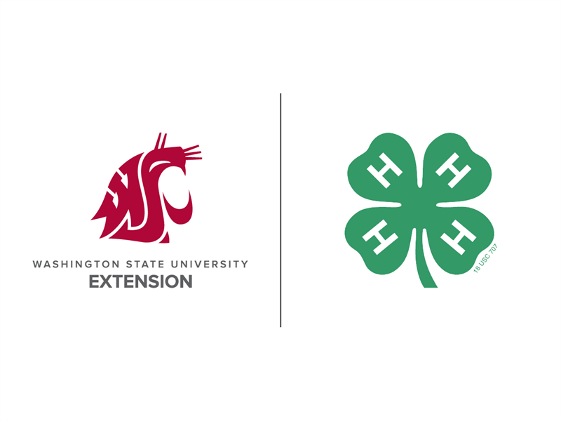 Results 2024 Pierce County Dog Qualifying Shows