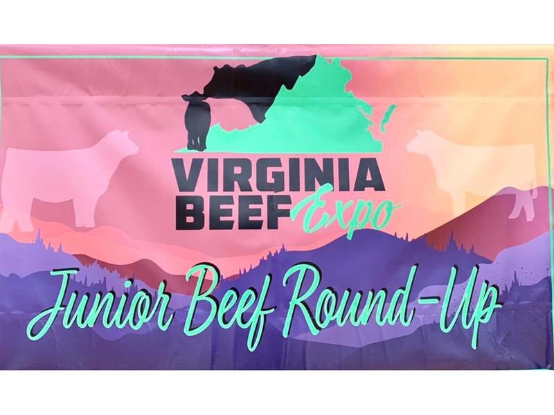 Results 2025 Virginia Junior Beef Roundup