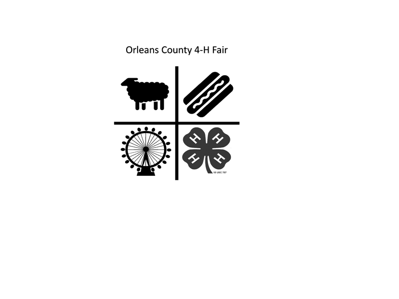 Results 2024 Orleans County 4H Fair